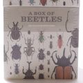 Cover Art for 9781782402381, A Box of Beetles: 100 Postcards of the Most Striking Breeds by Patrice Bouchard