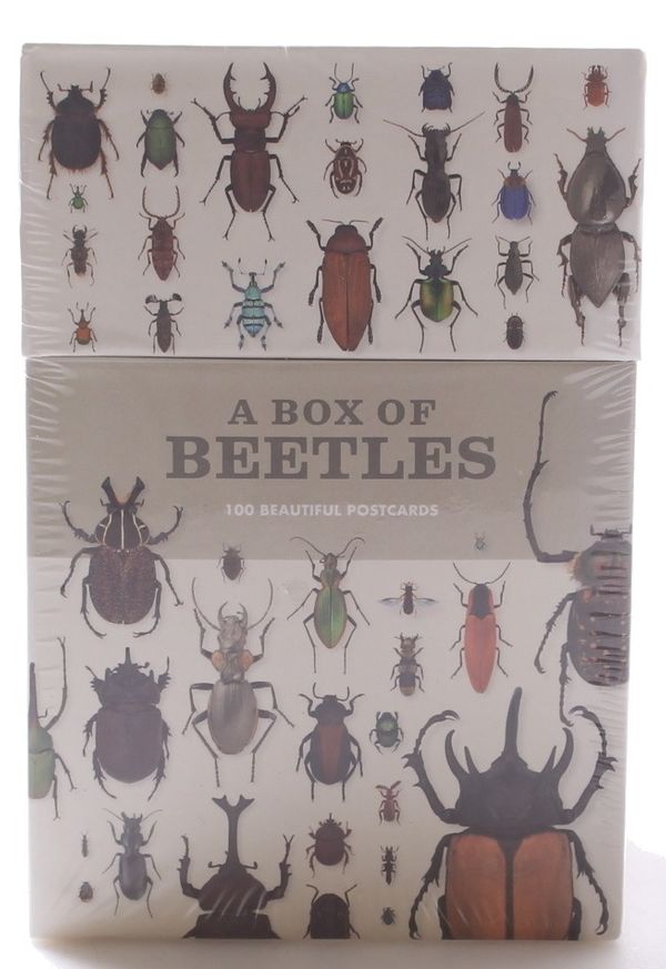 Cover Art for 9781782402381, A Box of Beetles: 100 Postcards of the Most Striking Breeds by Patrice Bouchard