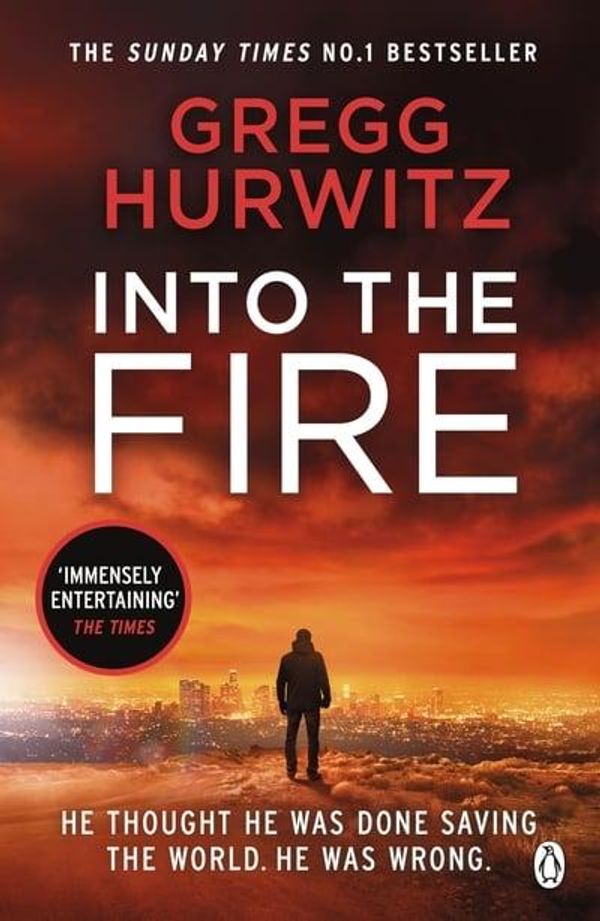 Cover Art for 9781405929929, Into the Fire by Gregg Hurwitz