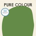 Cover Art for 9781787302815, Pure Colour by Sheila Heti