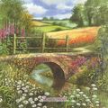 Cover Art for 9781844480975, Terry Harrison’s Watercolour Flowers by Terry Harrison