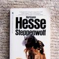 Cover Art for 9780553279900, Steppenwolf by Hermann Hesse
