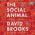 Cover Art for 9780307739032, The Social Animal by David Brooks