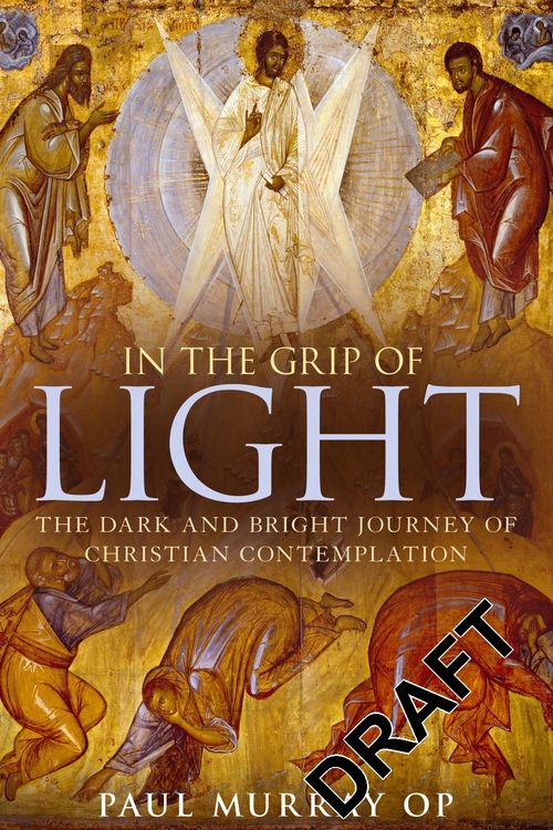Cover Art for 9781441145505, In the Grip of Light by Murray OP, Dr Paul