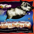 Cover Art for 9780525472186, Rough Weather Ahead for Walter by William Kotzwinkle, Glenn Murray, Elizabeth Gundy
