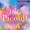 Cover Art for 9781432857097, A Spark of Light by Jodi Picoult
