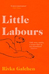 Cover Art for 9780008225209, Little Labours by Rivka Galchen