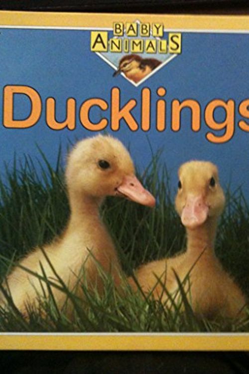 Cover Art for 9780531172292, Ducklings by Kate Petty
