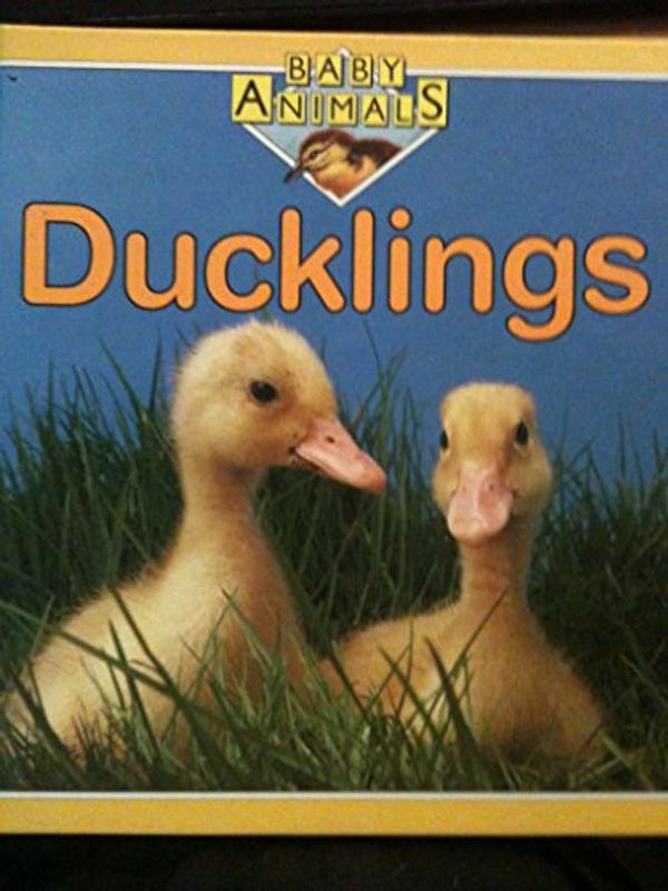 Cover Art for 9780531172292, Ducklings by Kate Petty