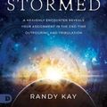 Cover Art for 9780768473308, Heaven Stormed: A Heavenly Encounter Reveals Your Assignment in the End Time Outpouring and Tribulation by Randy Kay
