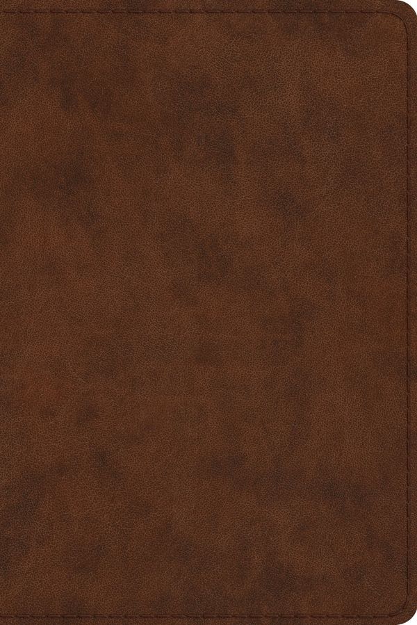 Cover Art for 9781433547621, ESV Study Bible, Personal Size (Trutone, Brown) by Crossway Bibles