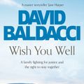 Cover Art for 9781529043334, Wish You Well by David Baldacci