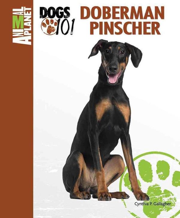 Cover Art for 9780793837403, Doberman Pinscher (Dogs 101) by Cynthia P. Gallagher