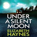 Cover Art for 9781405518581, Under a Silent Moon by Elizabeth Haynes