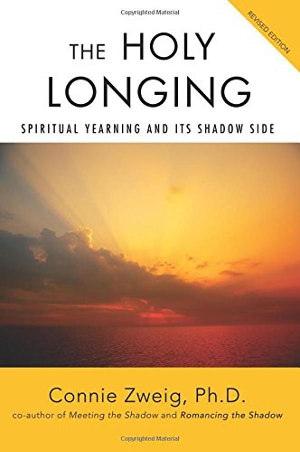 Cover Art for 9780595449101, The Holy Longing by Connie Zweig