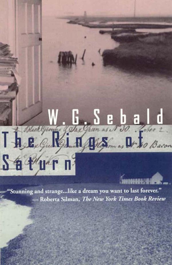 Cover Art for 9780811221306, The Rings of Saturn by W.g. Sebald