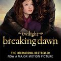 Cover Art for 9781907411908, Breaking Dawn: Pt. 2 by Stephenie Meyer