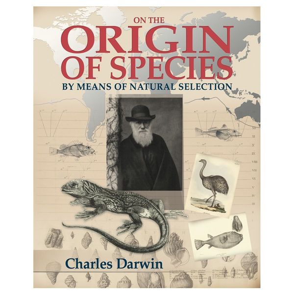 Cover Art for 9781841939896, On the Origin of Species by Charles Darwin