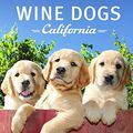 Cover Art for 9781921336508, Wine Dogs California 2 by Craig McGill & Susan Elliott