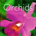 Cover Art for 9780881924817, Orchids by Joyce Stewart