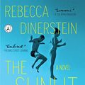 Cover Art for 9781632861146, The Sunlit Night by Rebecca Dinerstein