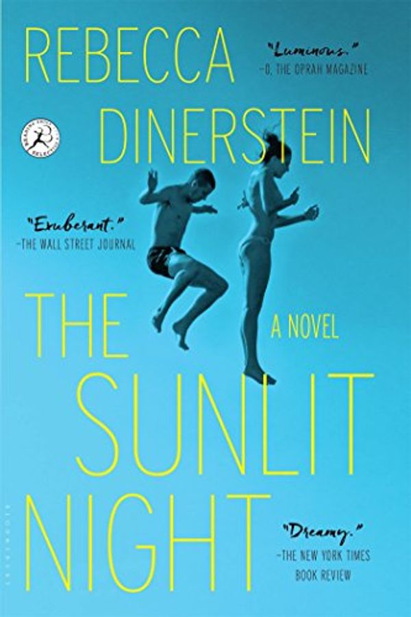 Cover Art for 9781632861146, The Sunlit Night by Rebecca Dinerstein
