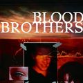 Cover Art for 9780385733649, Blood Brothers by S. A. Harazin