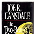 Cover Art for 9780892964918, The Two-Bear Mambo by Joe R. Lansdale