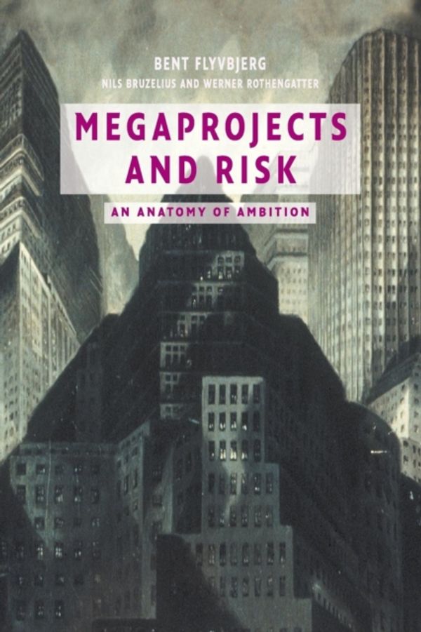 Cover Art for 9780521009461, Megaprojects and Risk by Bent Flyvbjerg