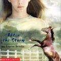 Cover Art for 9780613241014, After the Storm by Lauren Brooke