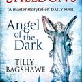 Cover Art for 9780007442836, Sidney Sheldon's Angel of the Dark by Sidney Sheldon, Tilly Bagshawe