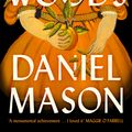 Cover Art for 9781399809283, North Woods by Daniel Mason