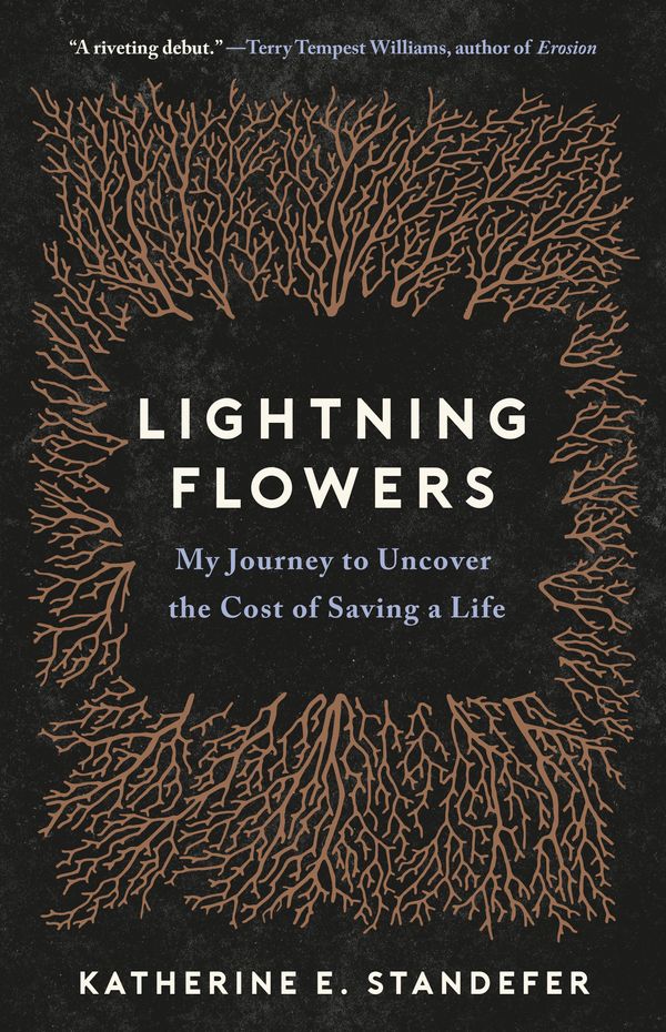 Cover Art for 9780316450362, Lightning Flowers: My Journey to Uncover the Cost of Saving a Life by Katherine E. Standefer