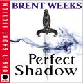 Cover Art for 9781405510134, Perfect Shadow by Brent Weeks