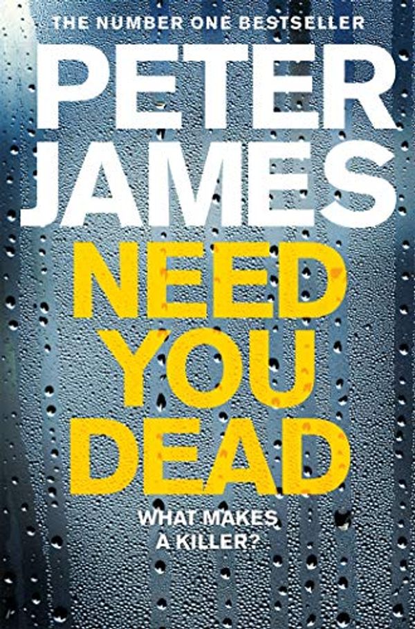 Cover Art for B06XHY4DWK, Need You Dead: A Roy Grace Novel 13 by Peter James