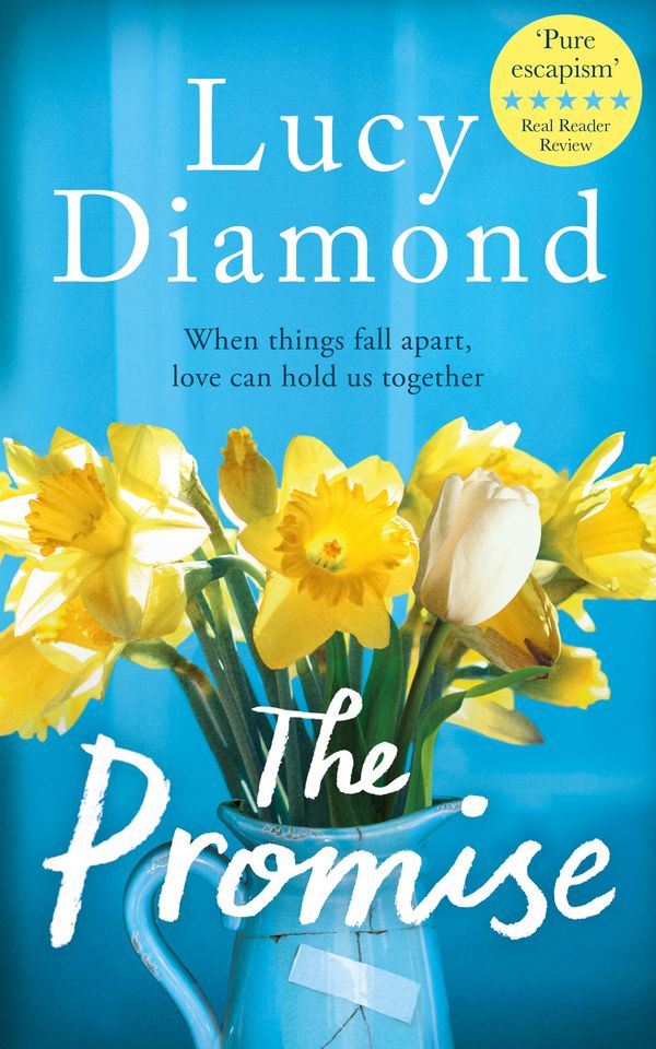 Cover Art for 9781529027020, The Promise by Lucy Diamond
