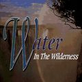 Cover Art for 9781562294328, Water in the Wilderness by T. D. Jakes