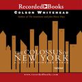 Cover Art for 9781402563430, The Colossus of New York by Colson Whitehead