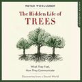 Cover Art for 9780008338381, The Hidden Life of Trees by Peter Wohlleben