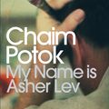 Cover Art for 9780141190563, My Name is Asher Lev by Chaim Potok