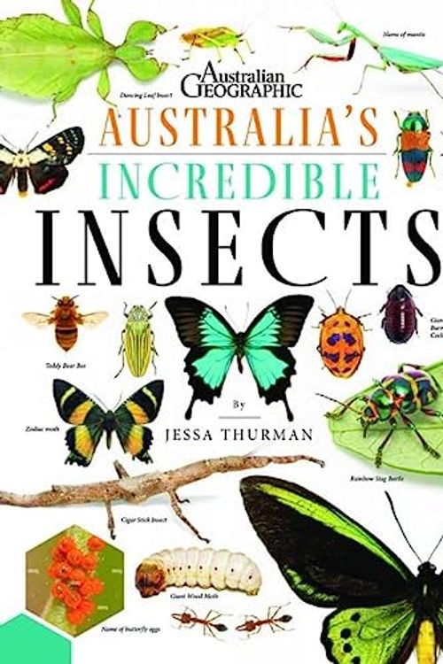 Cover Art for 9781922388780, Australia's Incredible Insects by Jessa Thurman