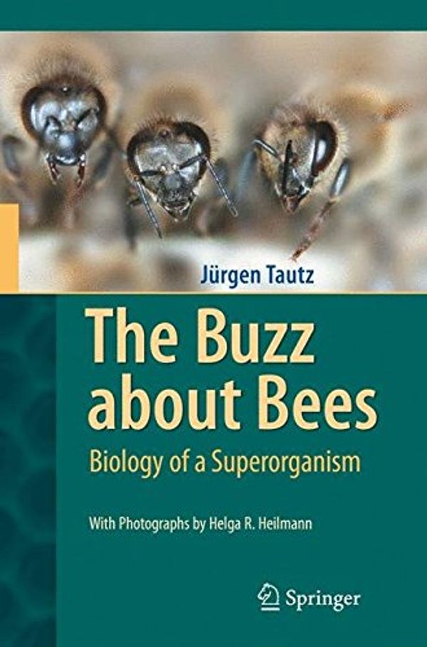 Cover Art for 9783642097508, The Buzz About Bees by Jürgen Tautz