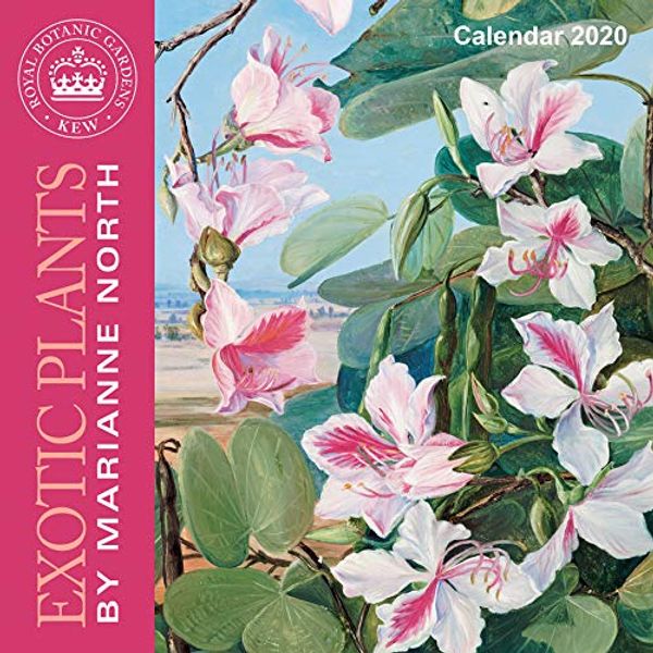 Cover Art for 9781787554887, Kew Gardens - Exotic Plants by Marianne North - Mini Wall Calendar 2020 by Flame Tree Studio