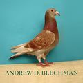 Cover Art for 9781555846008, Pigeons by Andrew D. Blechman
