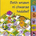 Cover Art for 9780852842331, Beth Wnawn Ni Chwarae Heddiw? by Jane Eccles