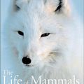 Cover Art for 0780177987402, The Life of Mammals, Vol. 2 by David Attenborough by 