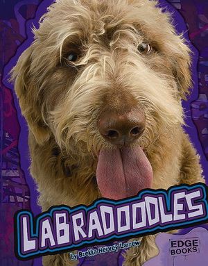 Cover Art for 9781429620093, Labradoodles by Brekka Hervey Larrew