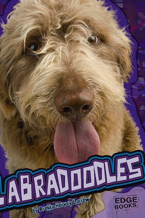 Cover Art for 9781429620093, Labradoodles by Brekka Hervey Larrew