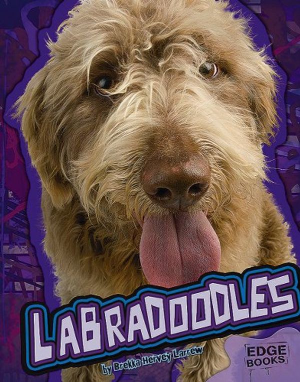 Cover Art for 9781429620093, Labradoodles by Brekka Hervey Larrew