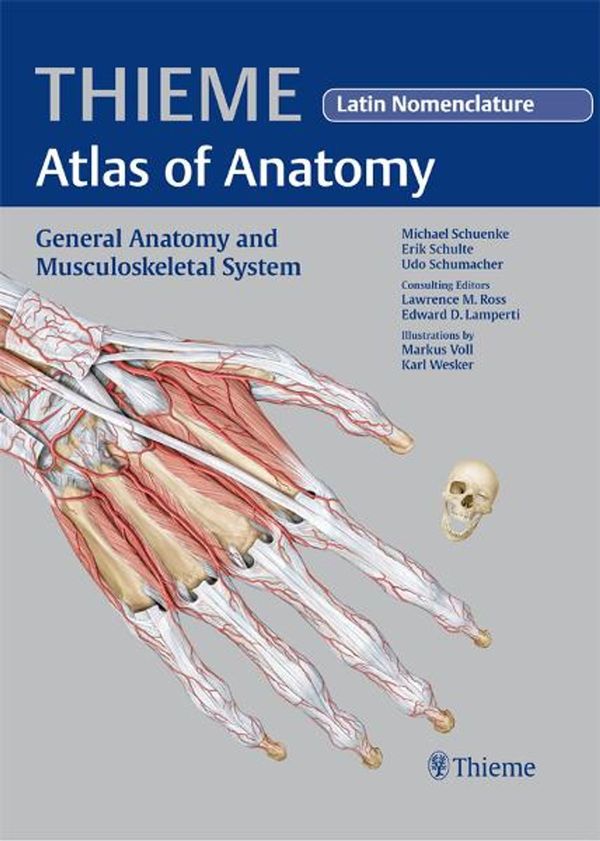 Cover Art for 9781604062939, General Anatomy and Musculoskeletal System (THIEME Atlas of Anatomy) by Michael Schuenke, Erik Schulte, Udo Schumacher